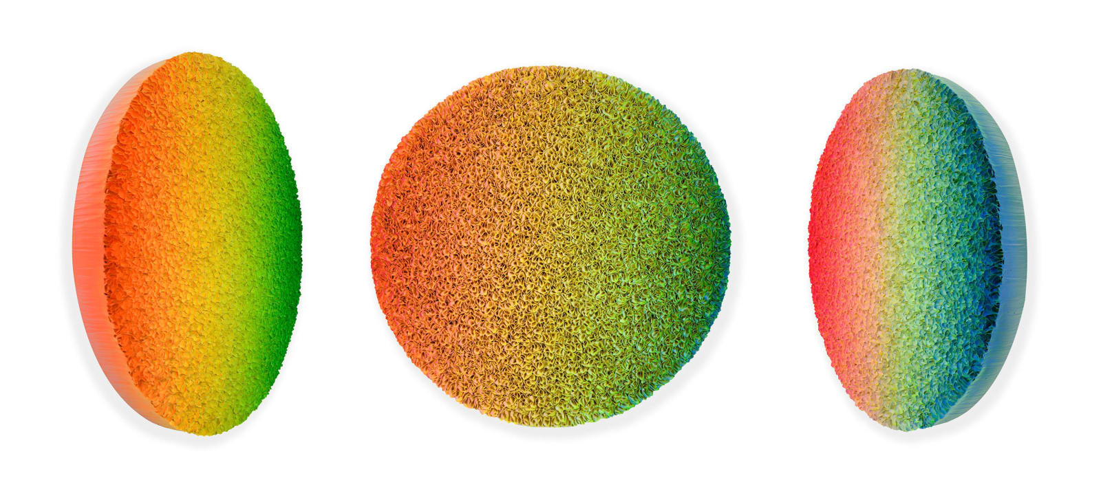 Hong Yi Zhuang, Flowerbed ZHY143, 2021