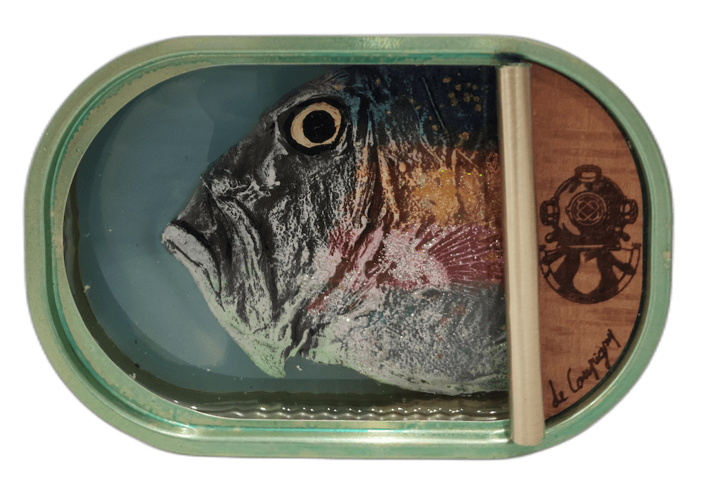 Ortaire de Coupigny, Sardines XVII