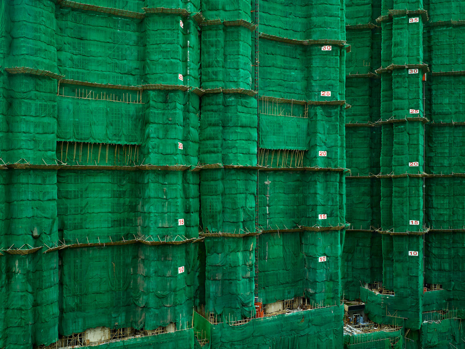 Peter Steinhauer, Green Cocoon #18, Hong Kong, 2013