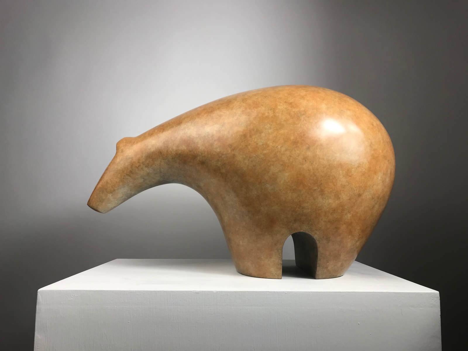 Steven Page, Polar Bear