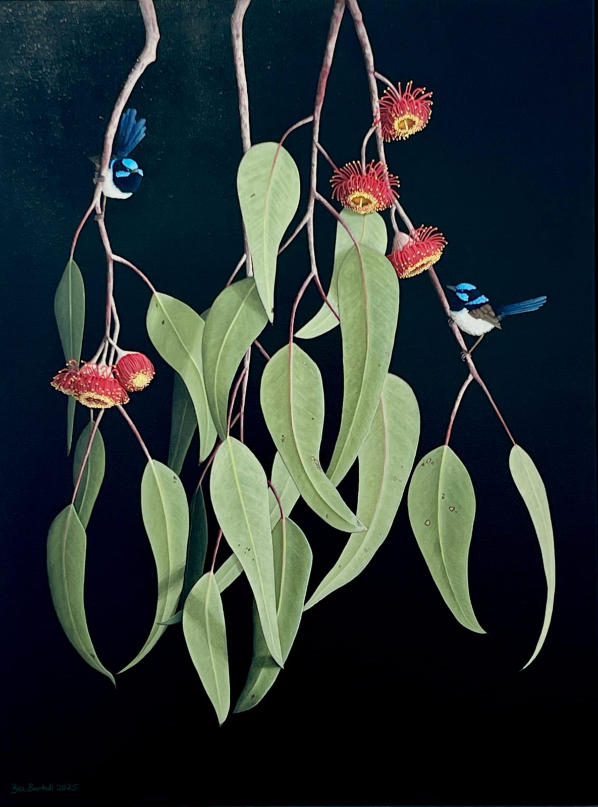 Bec Bartell, Dawn Fairies, 2025