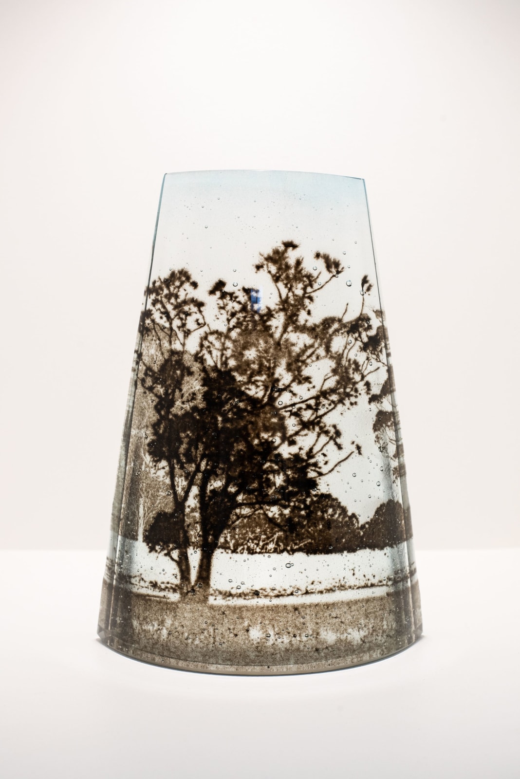 Anne Sorensen, Eucalyptus Series, 2023