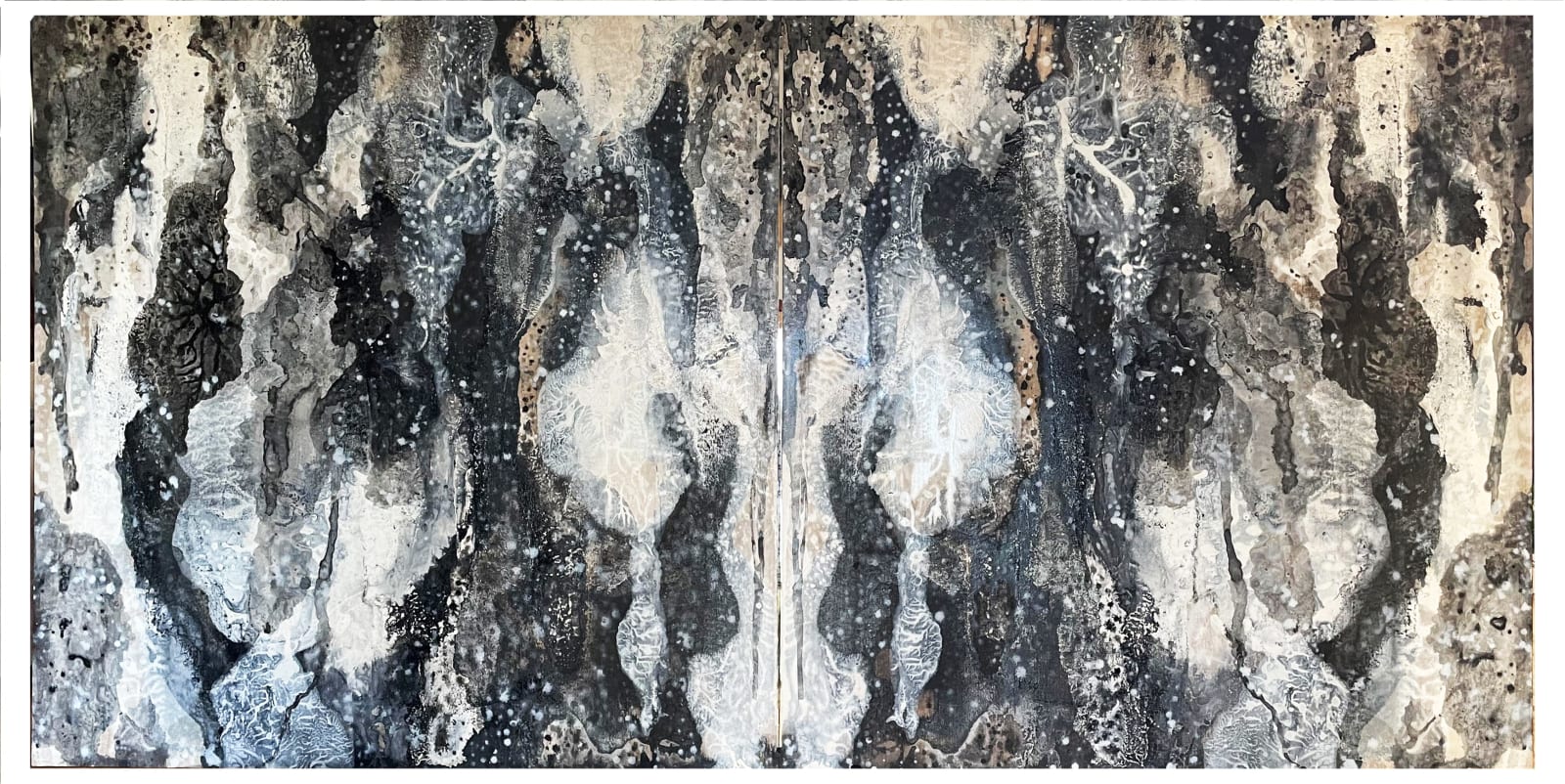 Monique Tippett, Shallows