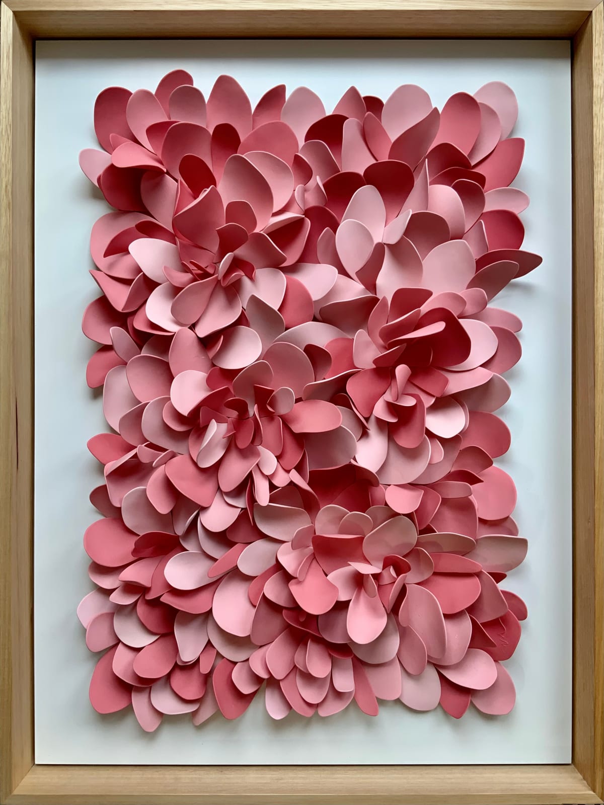 Viviana Maier, Chasing Petals, 2024