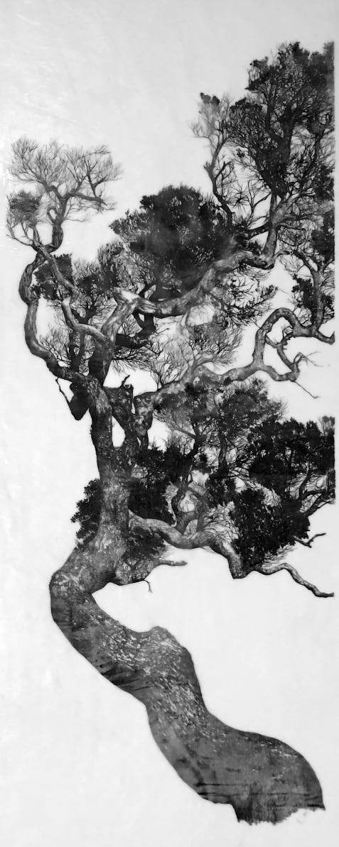 Elizabeth Edmonds, Hear, See, Speak for the Trees II, 2023
