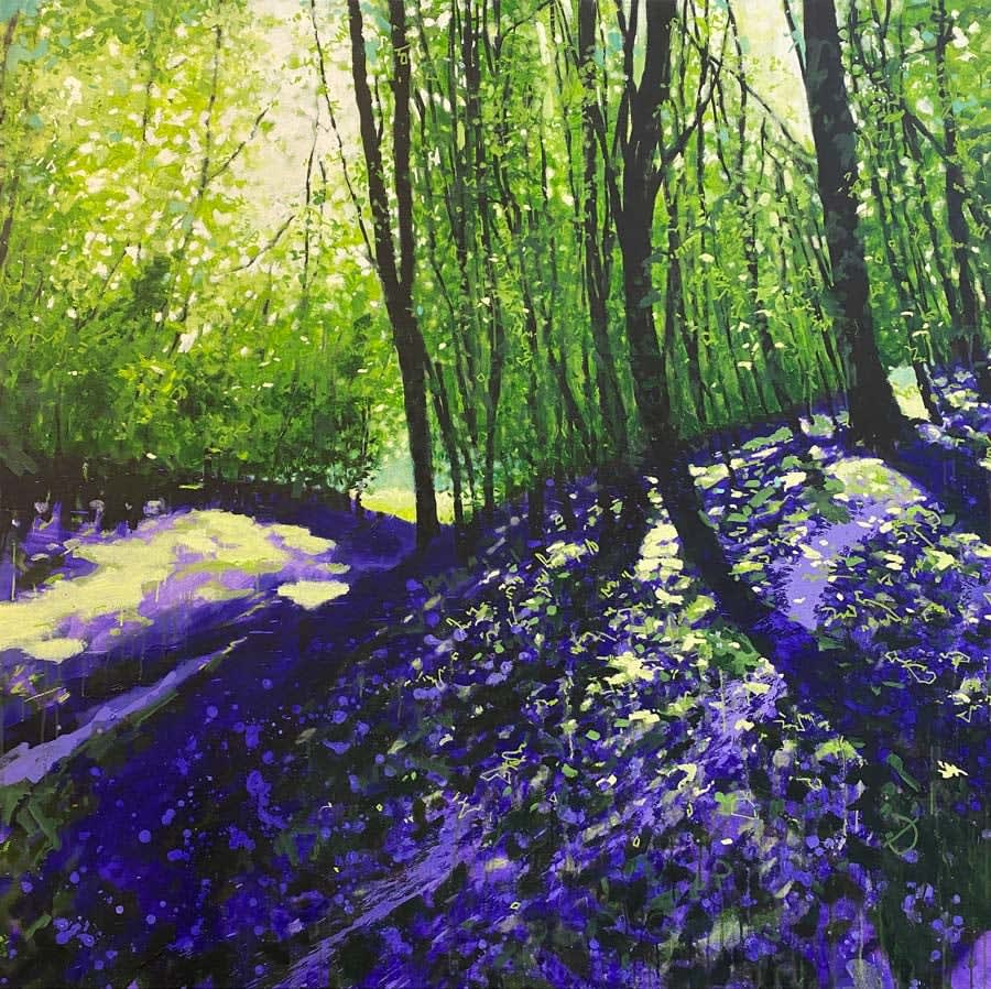 Joe Webster, Bluebell Carpet of Light
