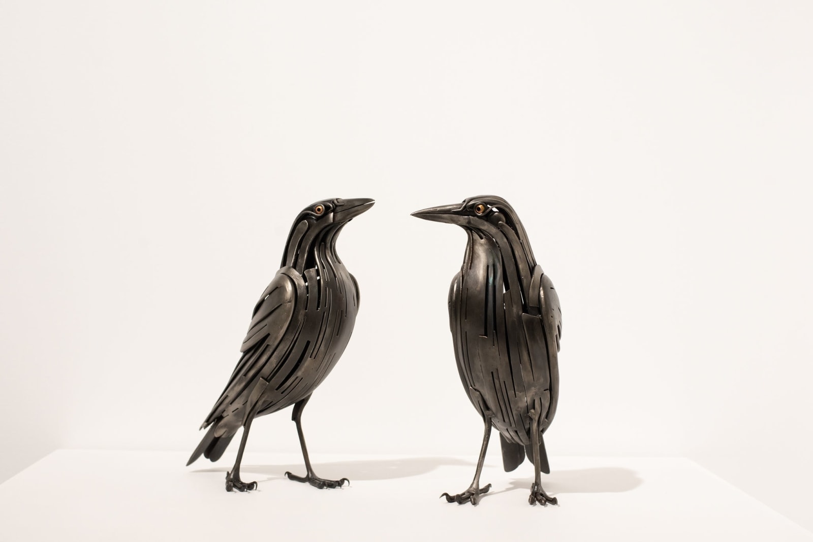 Jason Wooldridge, Magpies, 2023