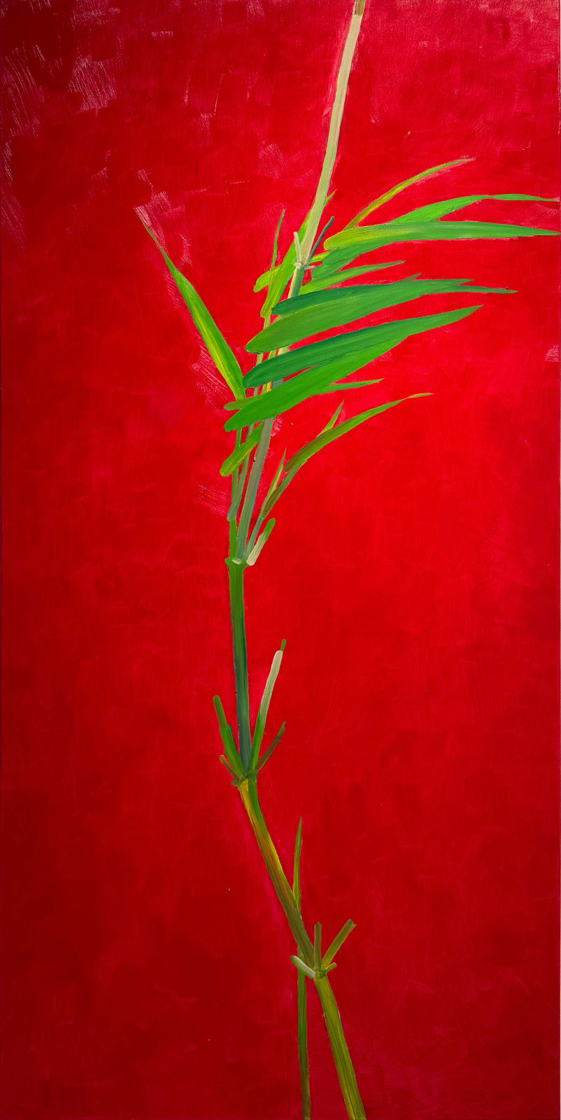Shan Fan, Bambus in Rot, 2025