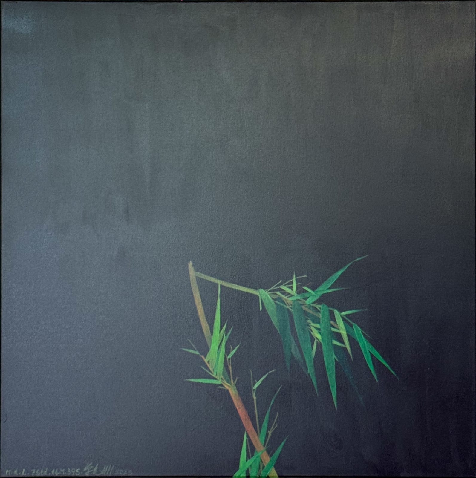 Shan Fan, Bambus im Portrait bei Nacht: Malerei der Langsamkeit, 7 Stunden. 14 Minuten. 39 Sekunden, 2025