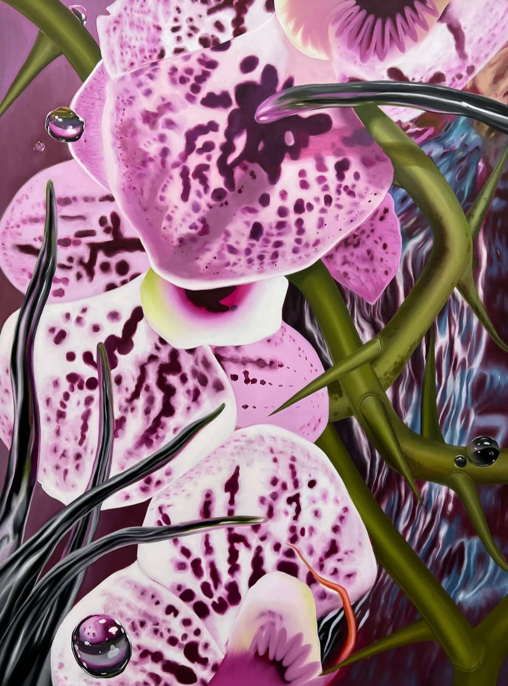 Alejandra Caicedo, Venus, 2025