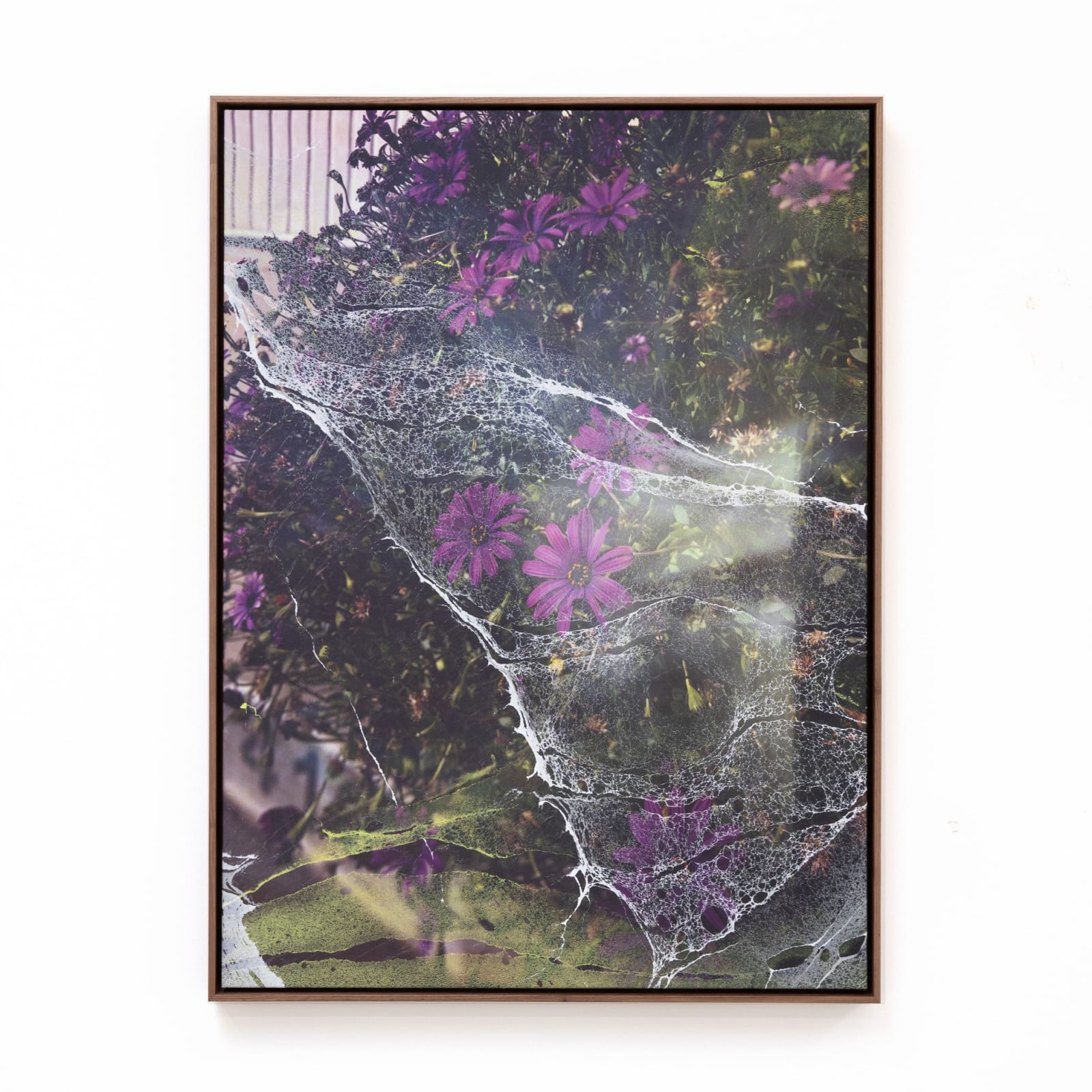 Shaniqwa Jarvis, Untitled, 2023