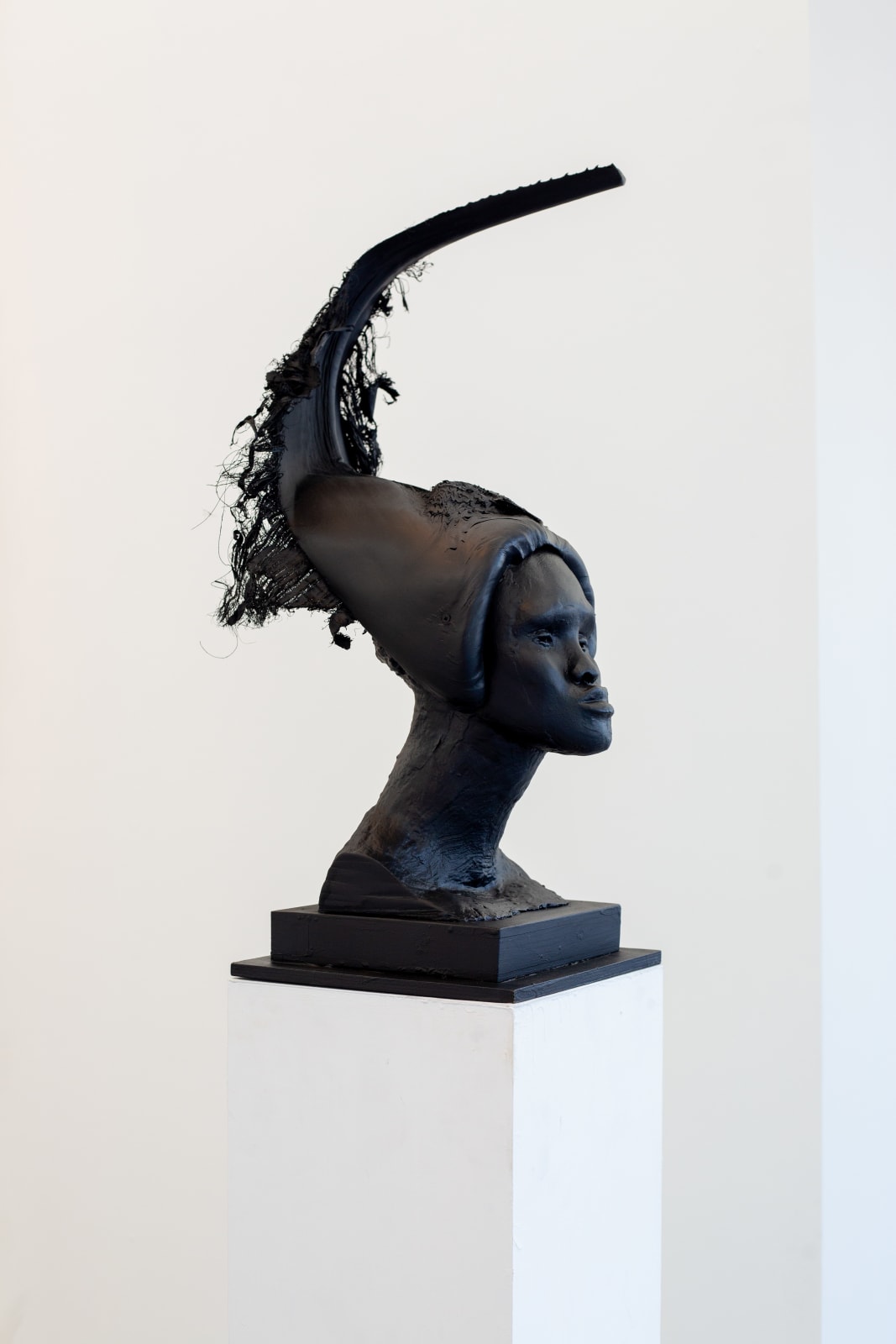 Toni Scott, King, 2024