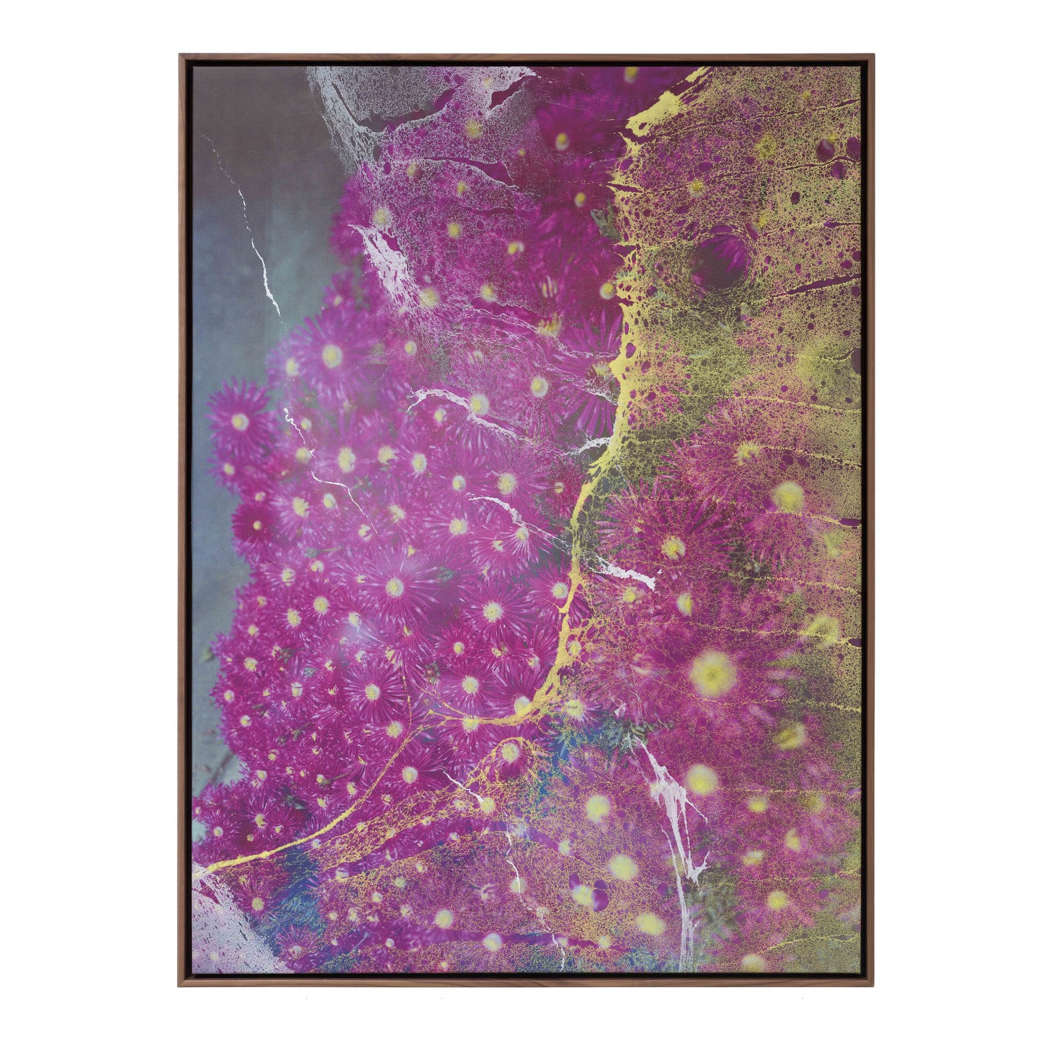 Shaniqwa Jarvis, Pink Now and Laters, 2023