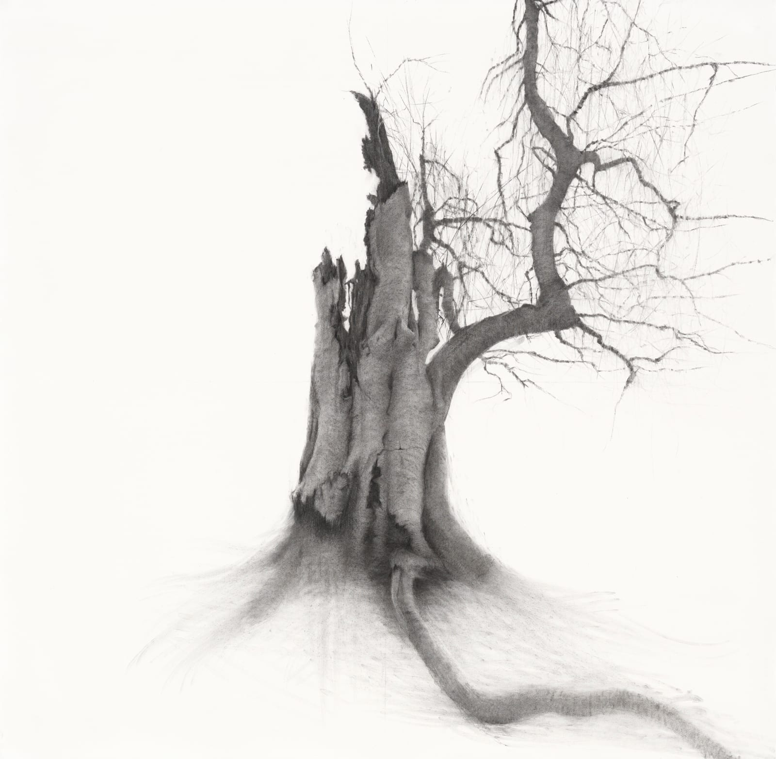 Lelia Henry, Sidhe, 2025