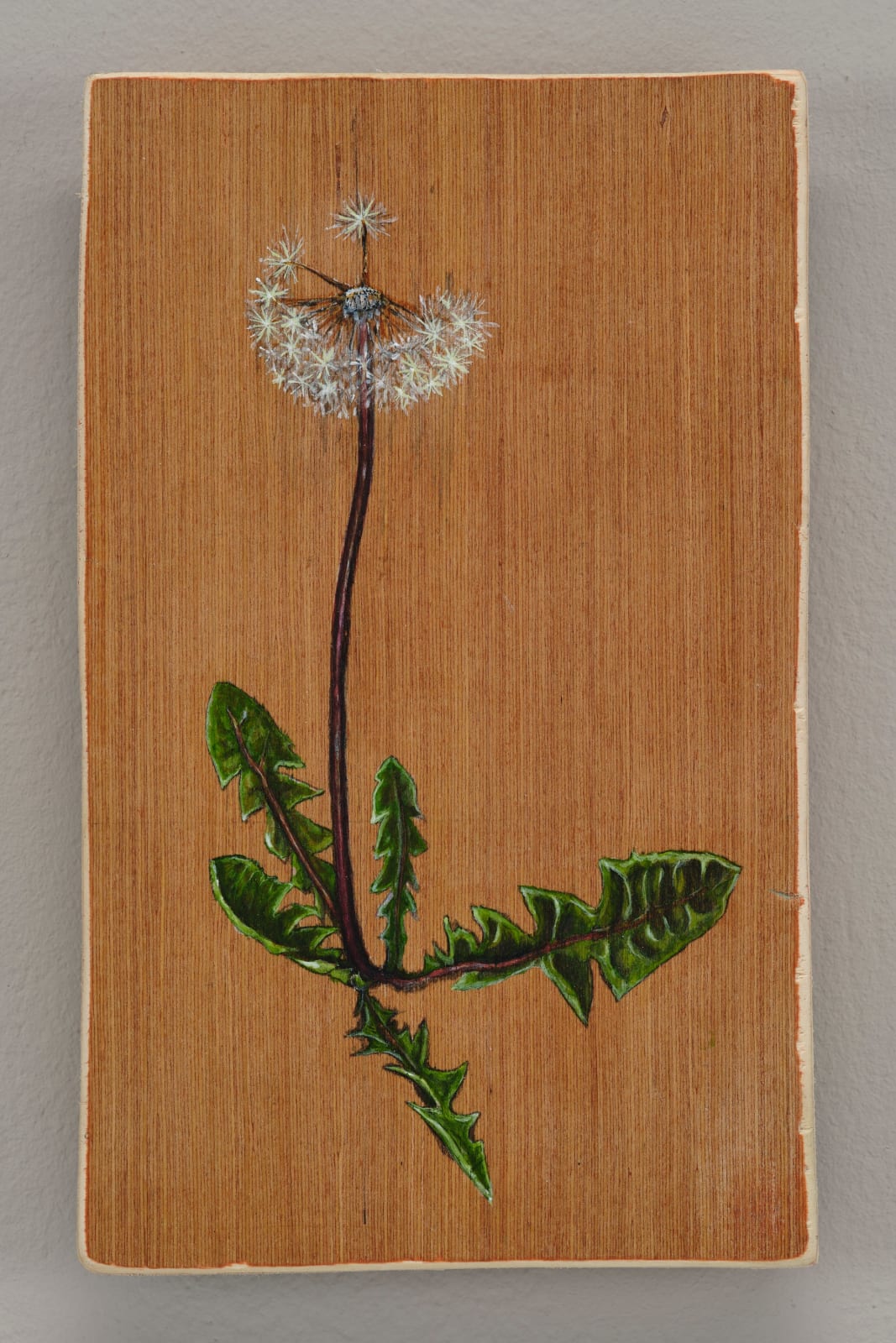 Kirsti Kotilainen, Dandelion Clock