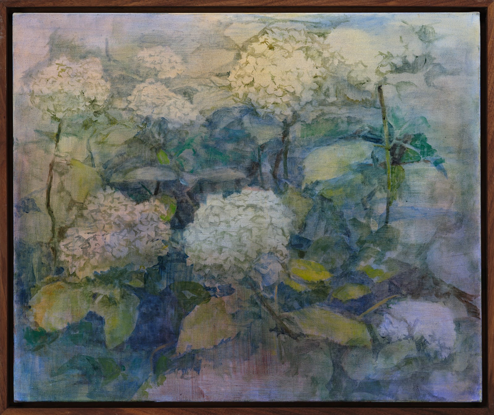 Maeve McCarthy RHA, French Hydrangeas