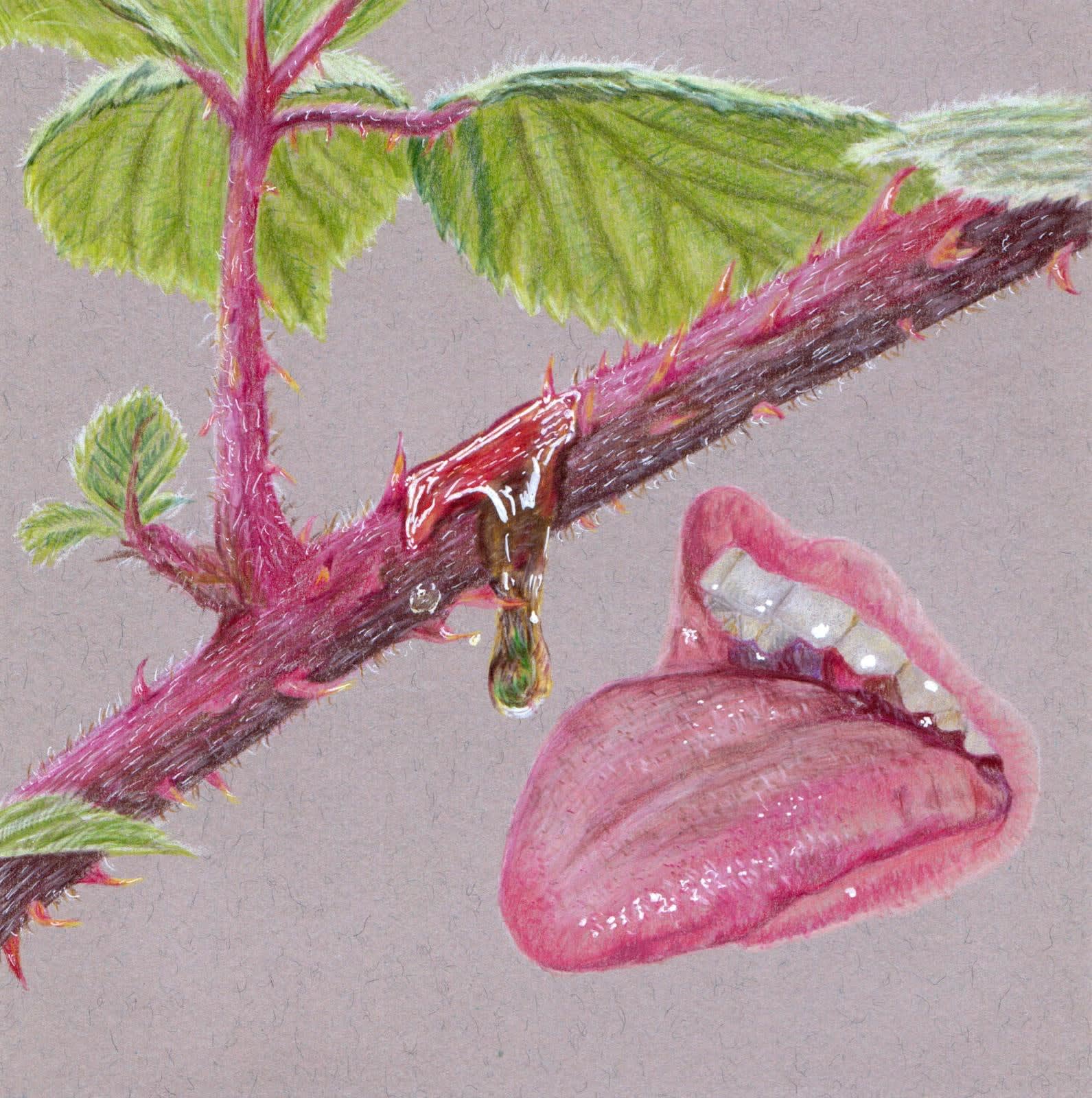 Emily Mc Gardle, Más milis mil ná ligh den driseog í (Though honey is sweet, don't lick it off the briar)
