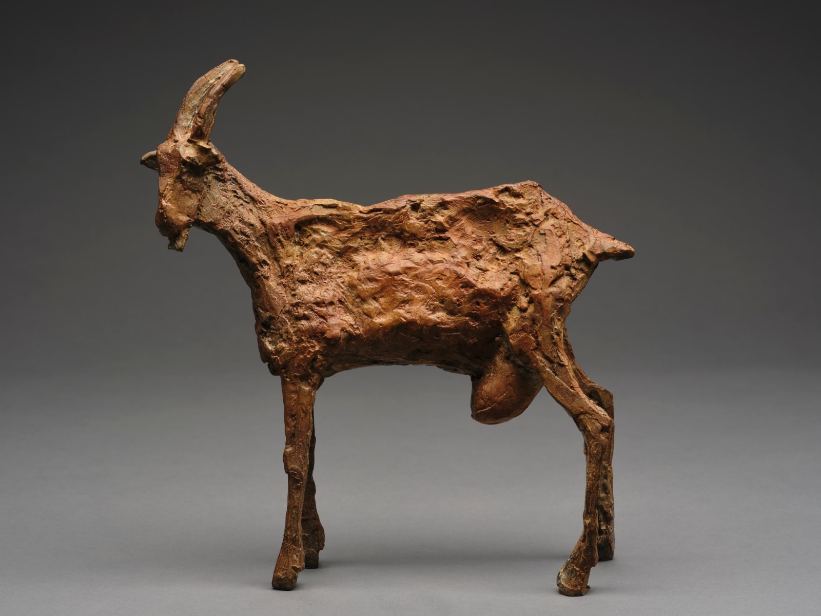 Cheryl Brown, Andalusian goat from a walk with my father