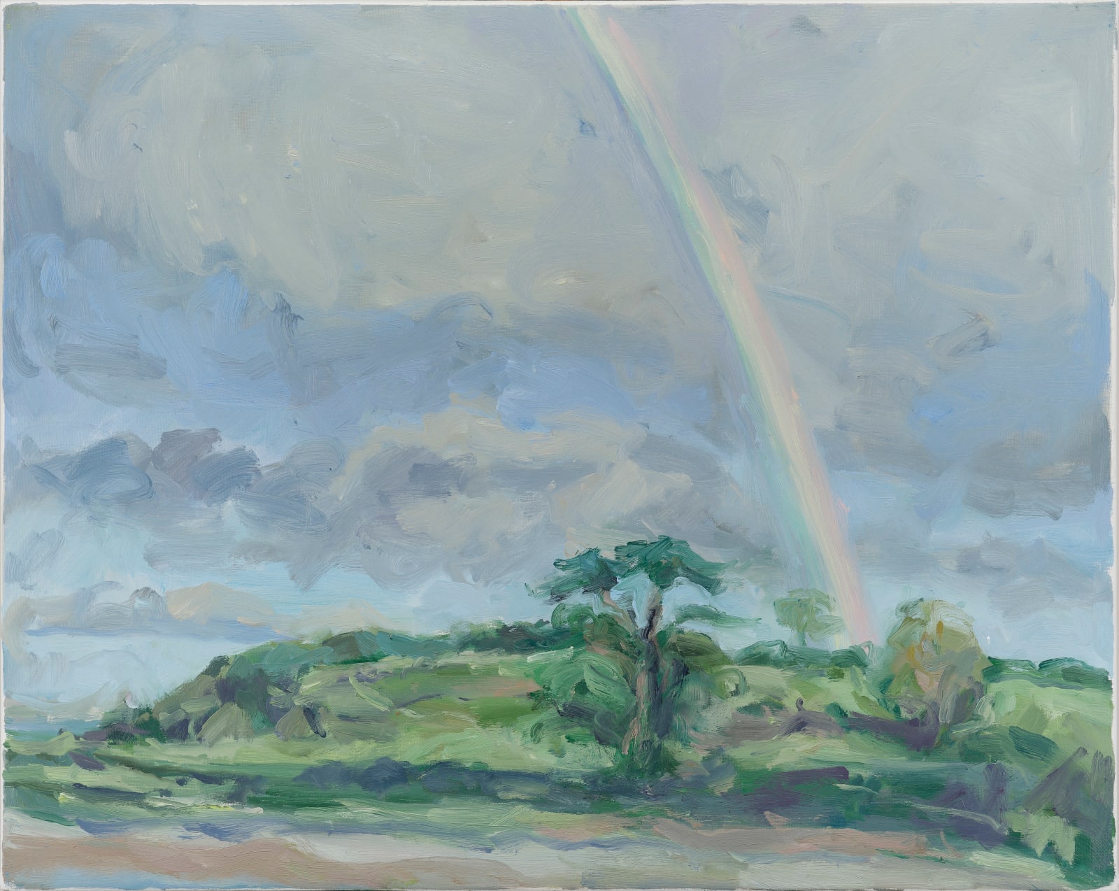 Pandora Butterfield, The rainbow, Strangford Lough