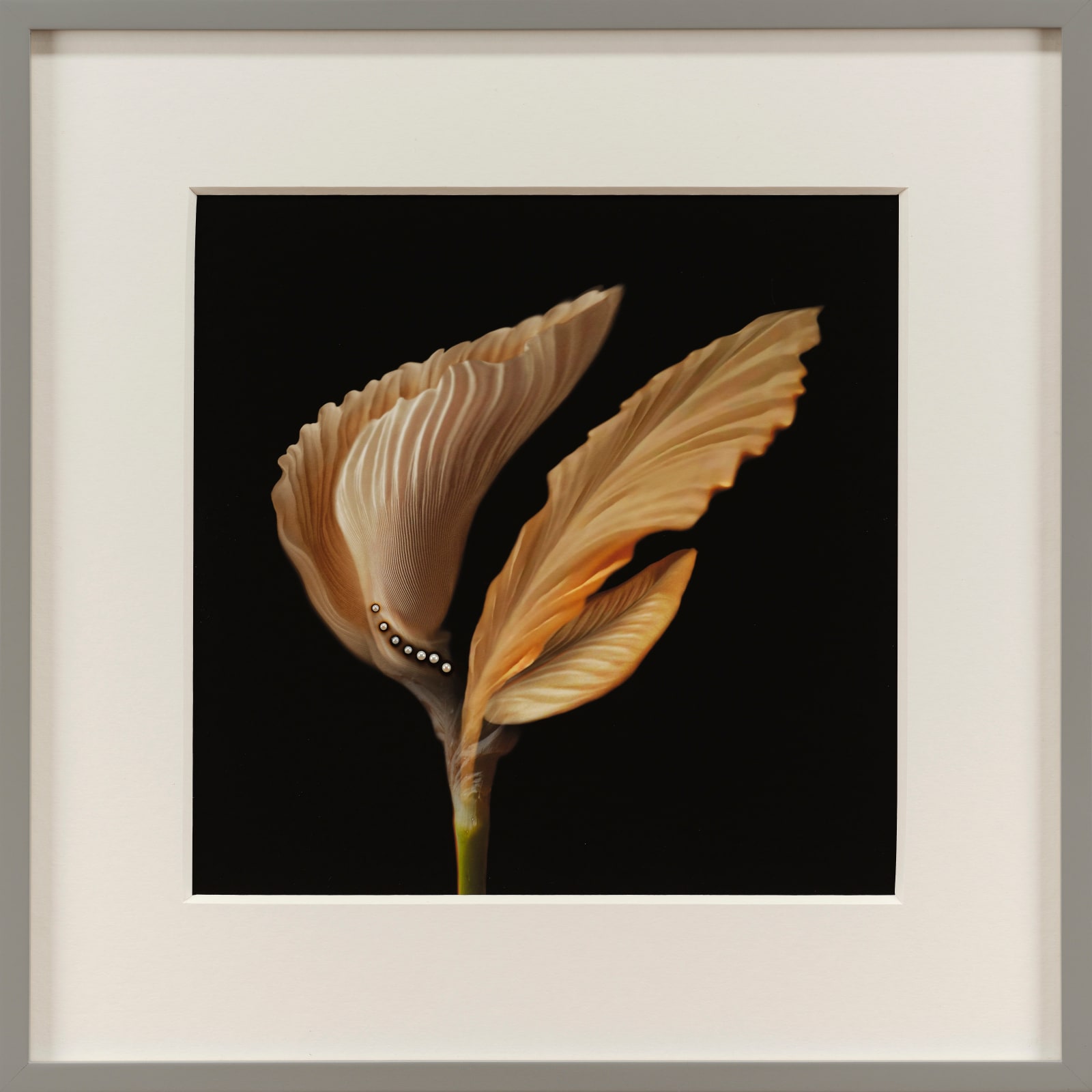 Andrew Folan RHA, Night Bird