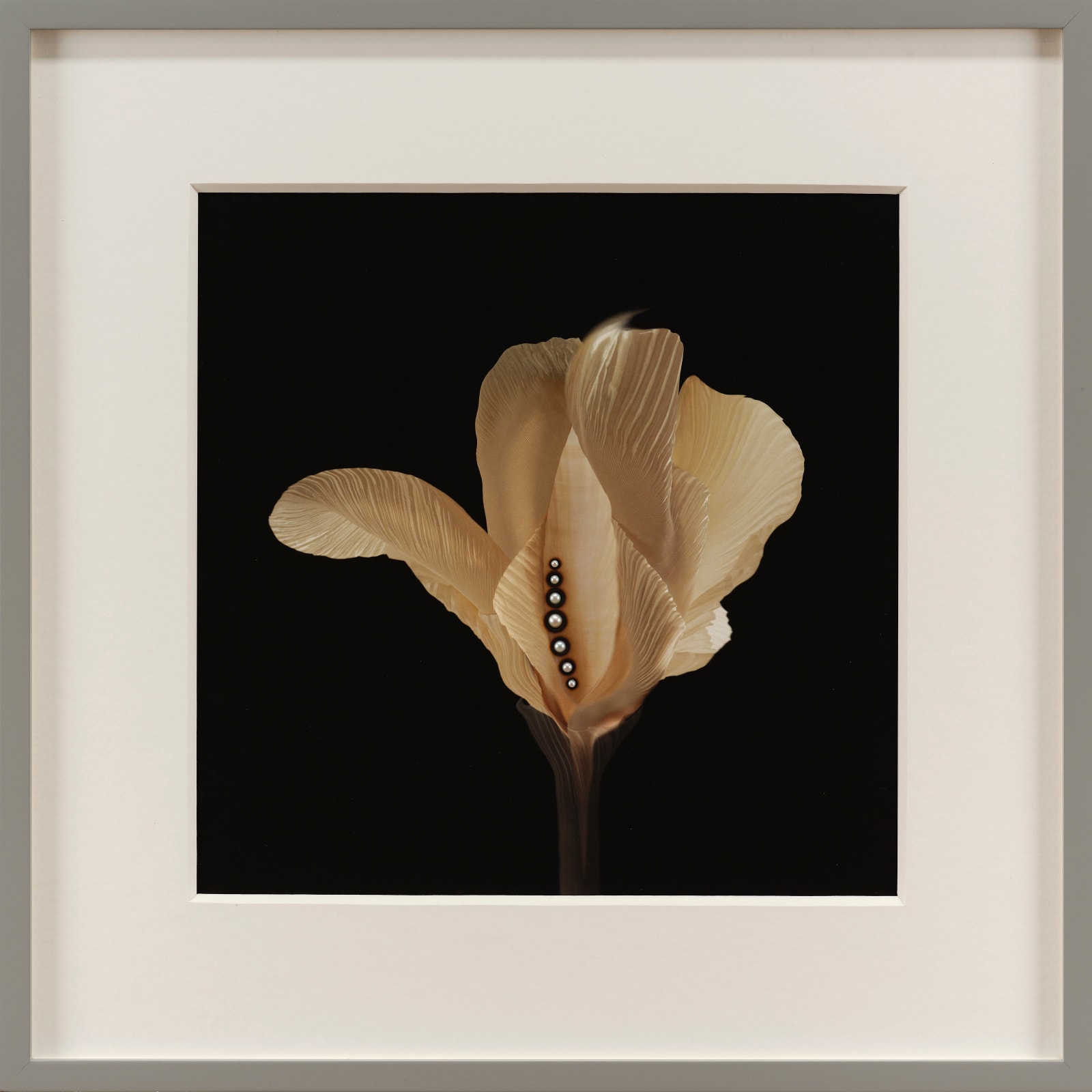 Andrew Folan RHA, Narration of Light