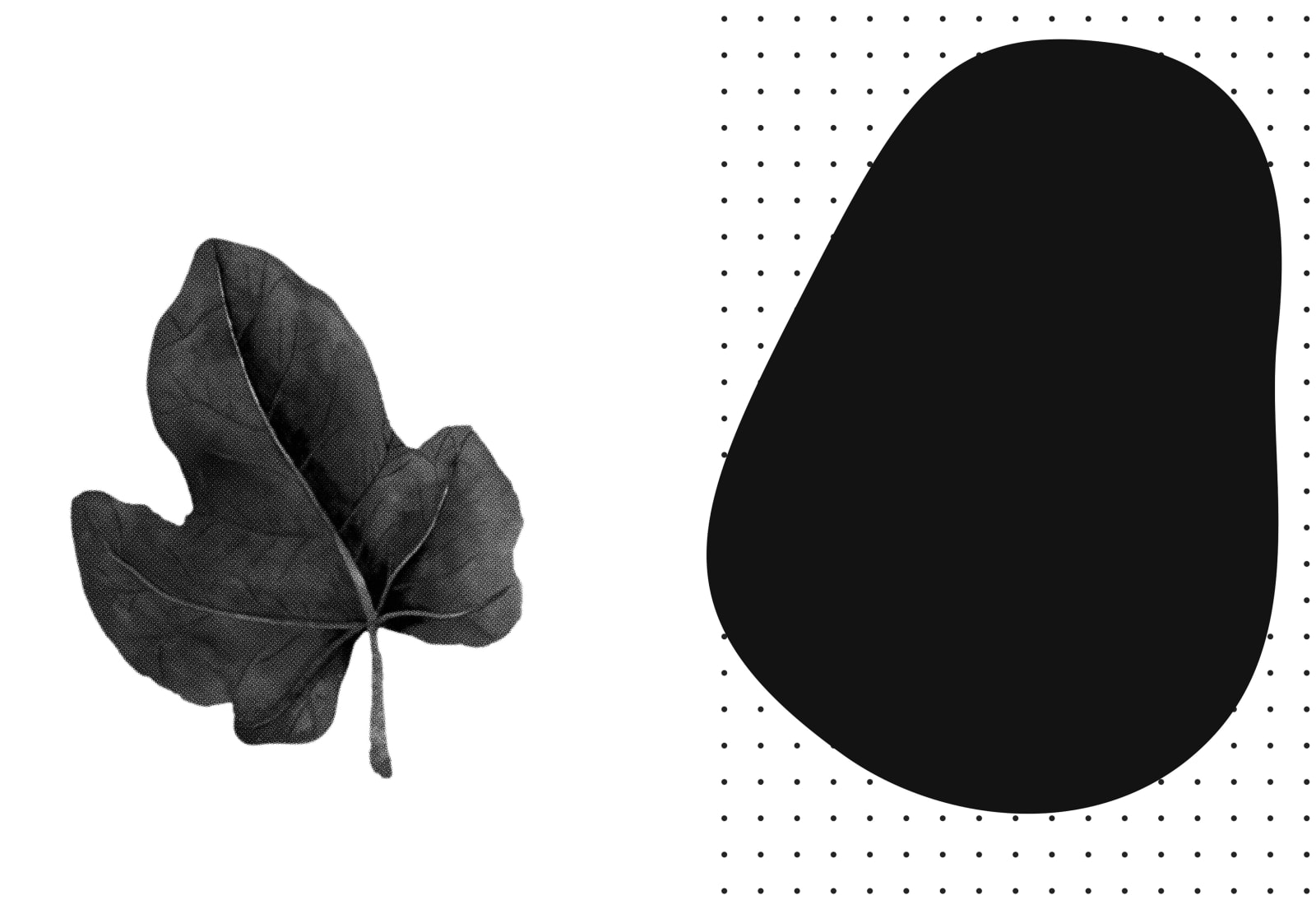 Eimearjean McCormack, Survey Series VII (8), 2025