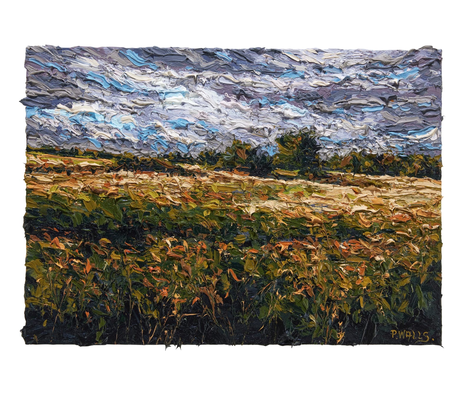 Paul Walls, Marie's Field, Cong, Co Mayo
