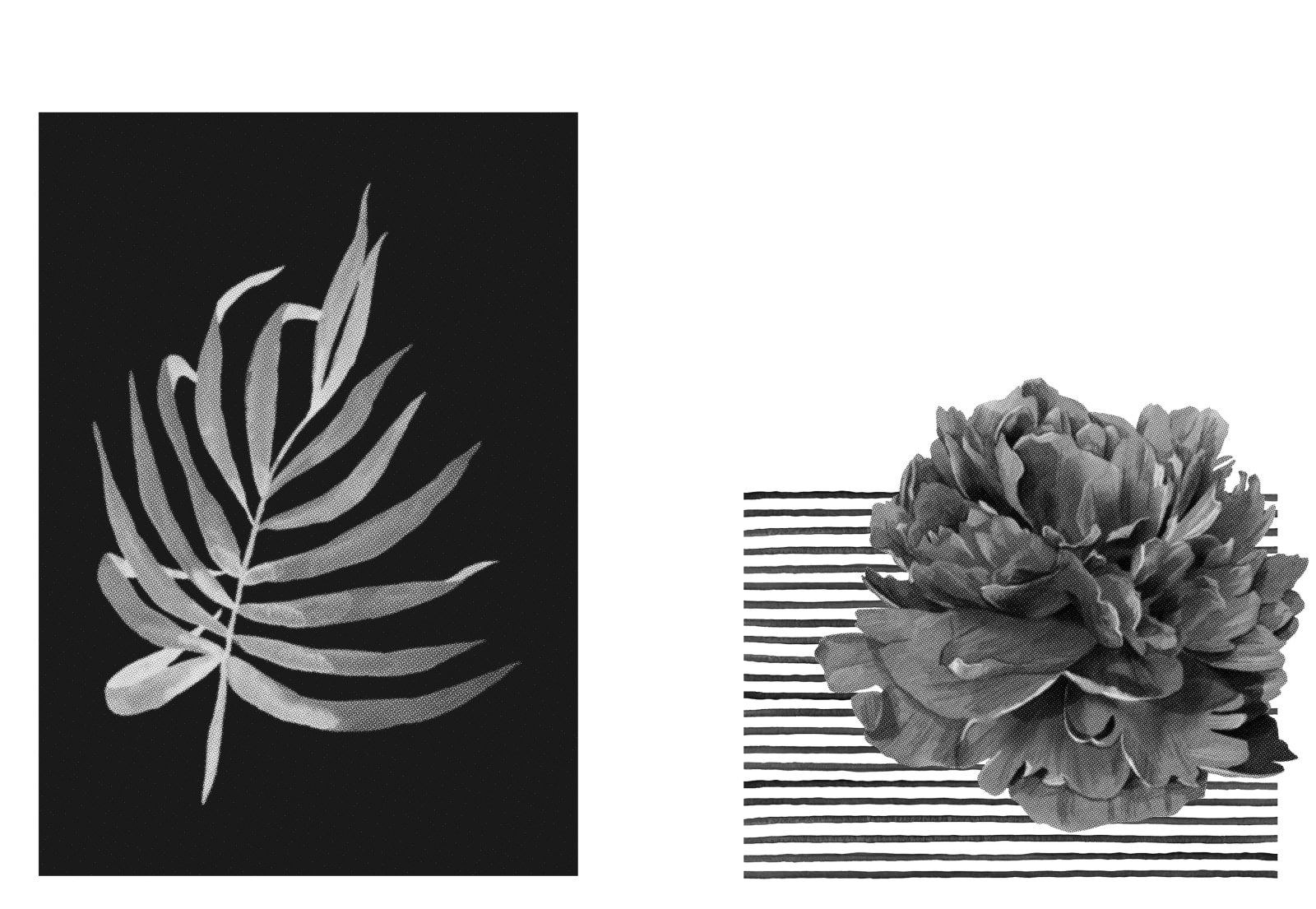 Eimearjean McCormack, Survey Series VII (54), 2025