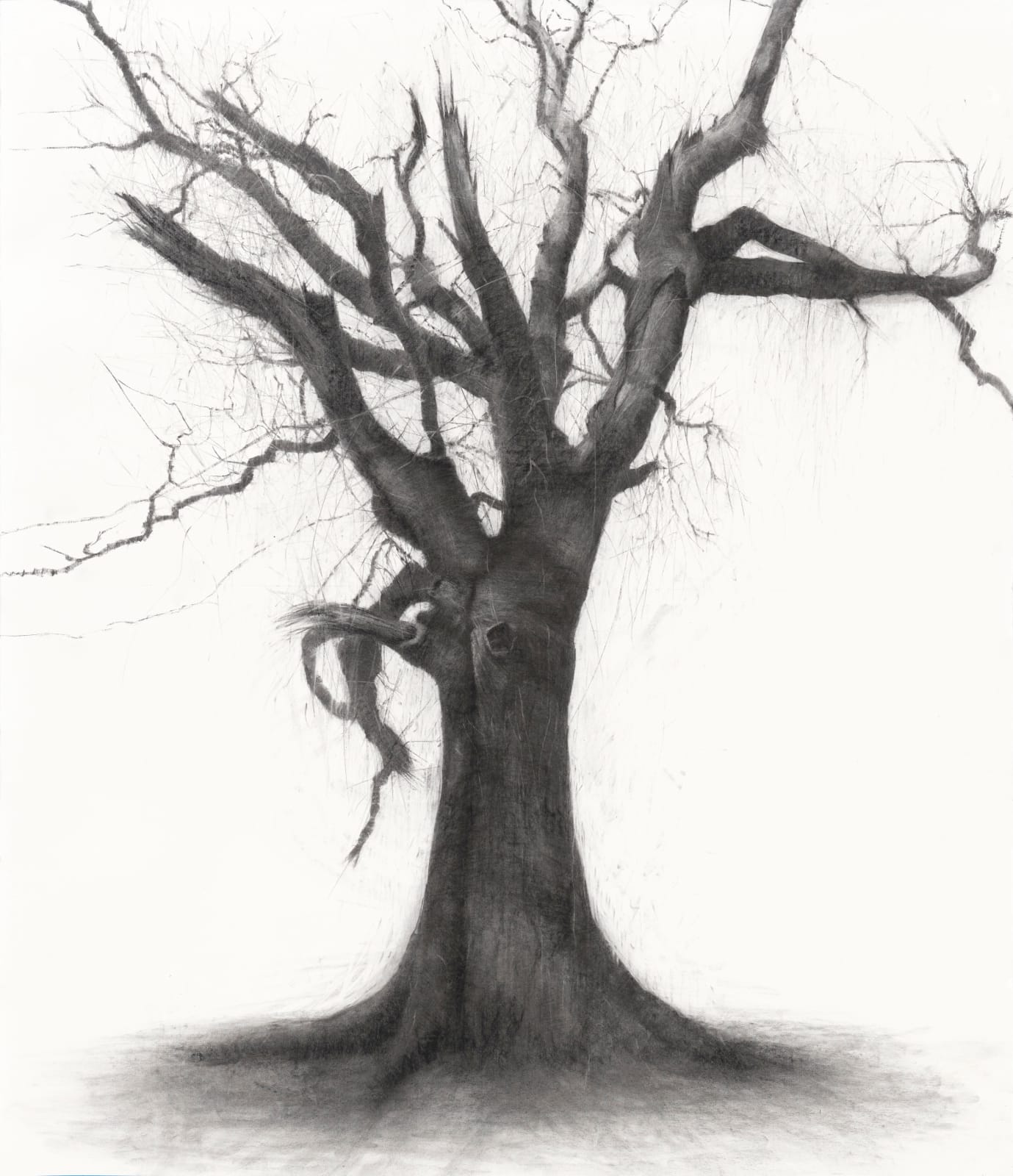 Lelia Henry, Deichtine, 2025