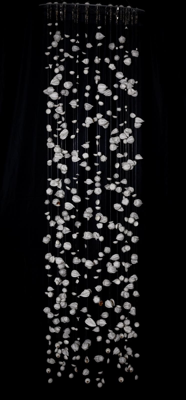 Andrea Kavanagh, Luminous Seeds