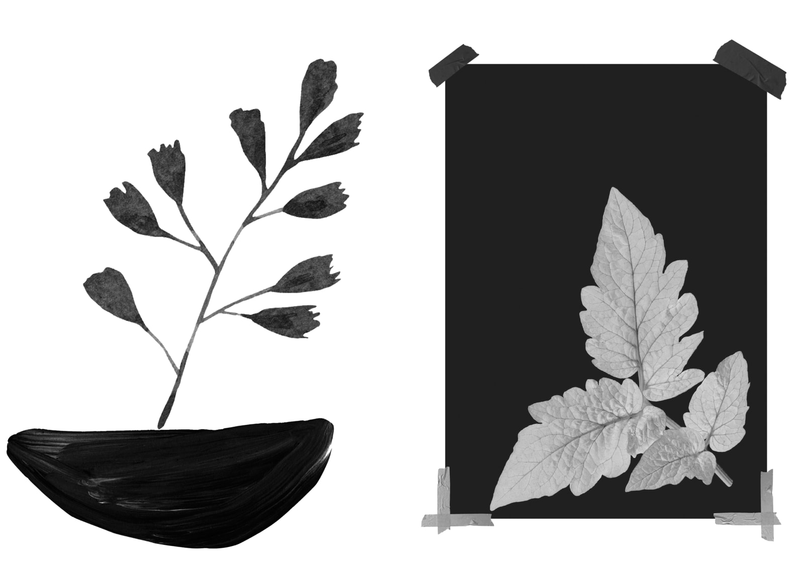 Eimearjean McCormack, Survey Series VII (33), 2025