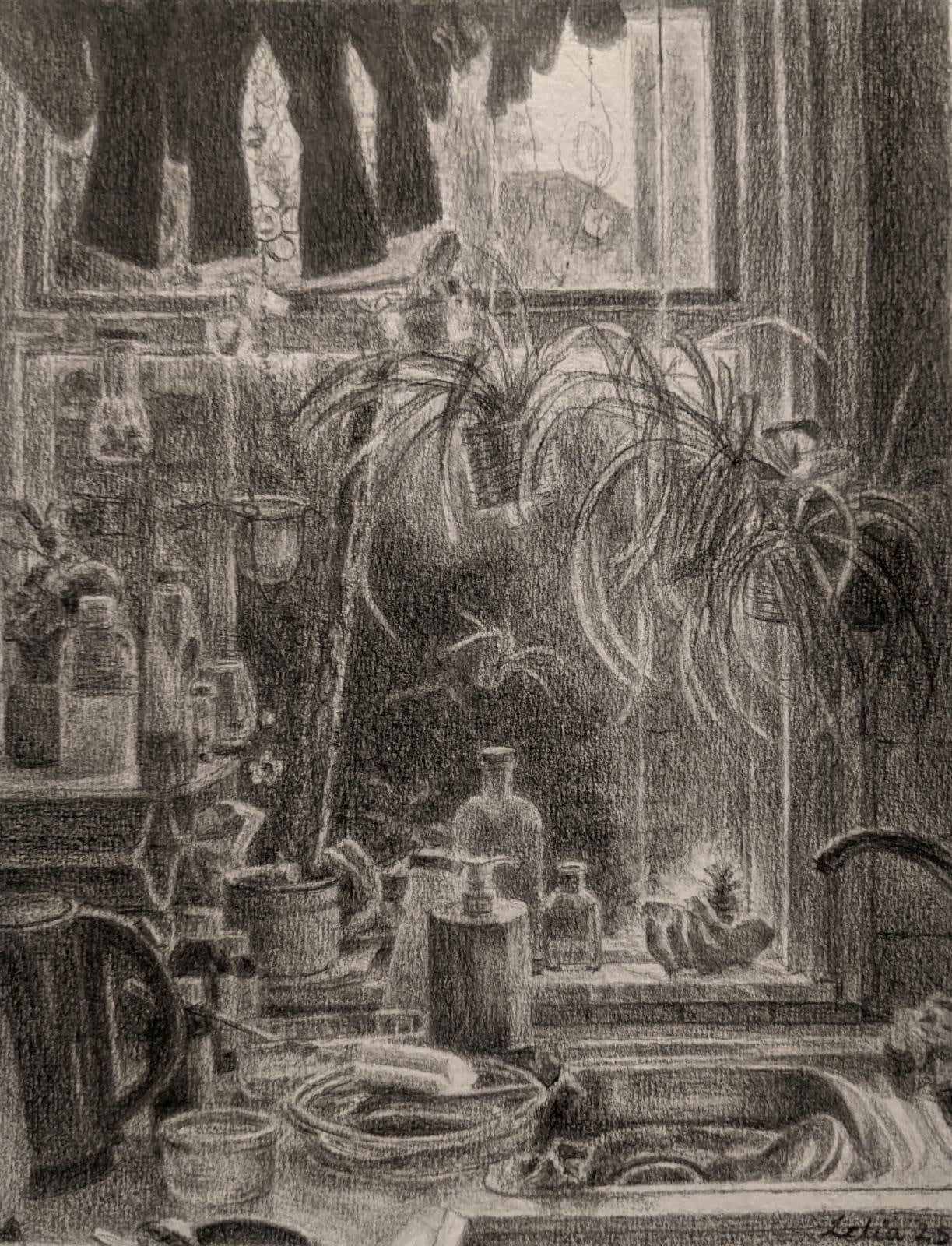 Lelia Hoye, Kitchen sink