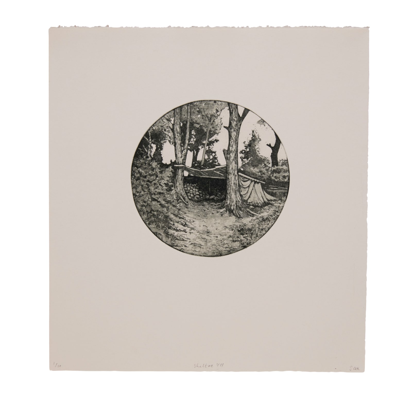 Siobhán Cox, Shelter VII