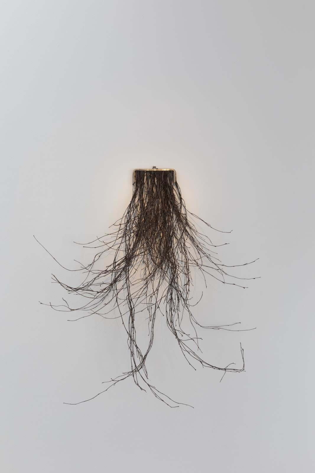 Fiona Kerbey, Everything I Own I Carry In This Purse