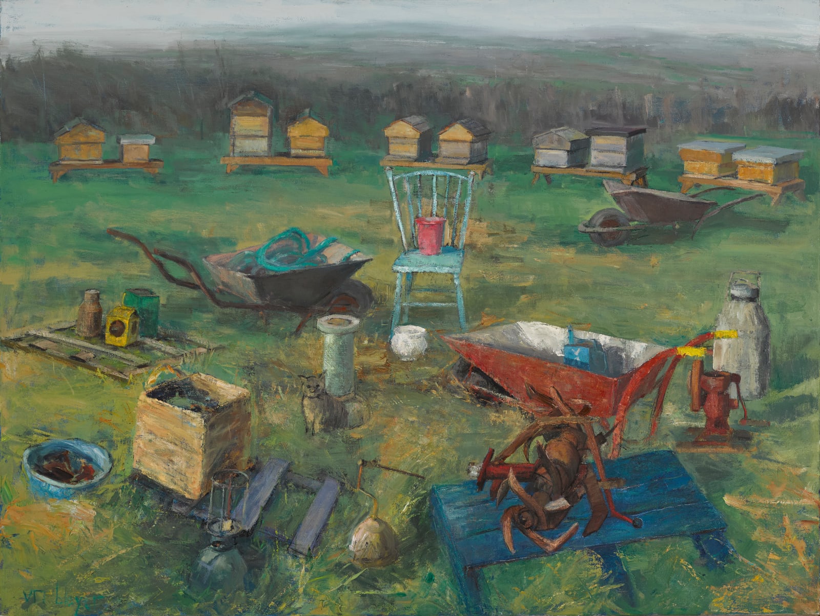 Uri Blayer, Objects in space with Beehives and a Cat