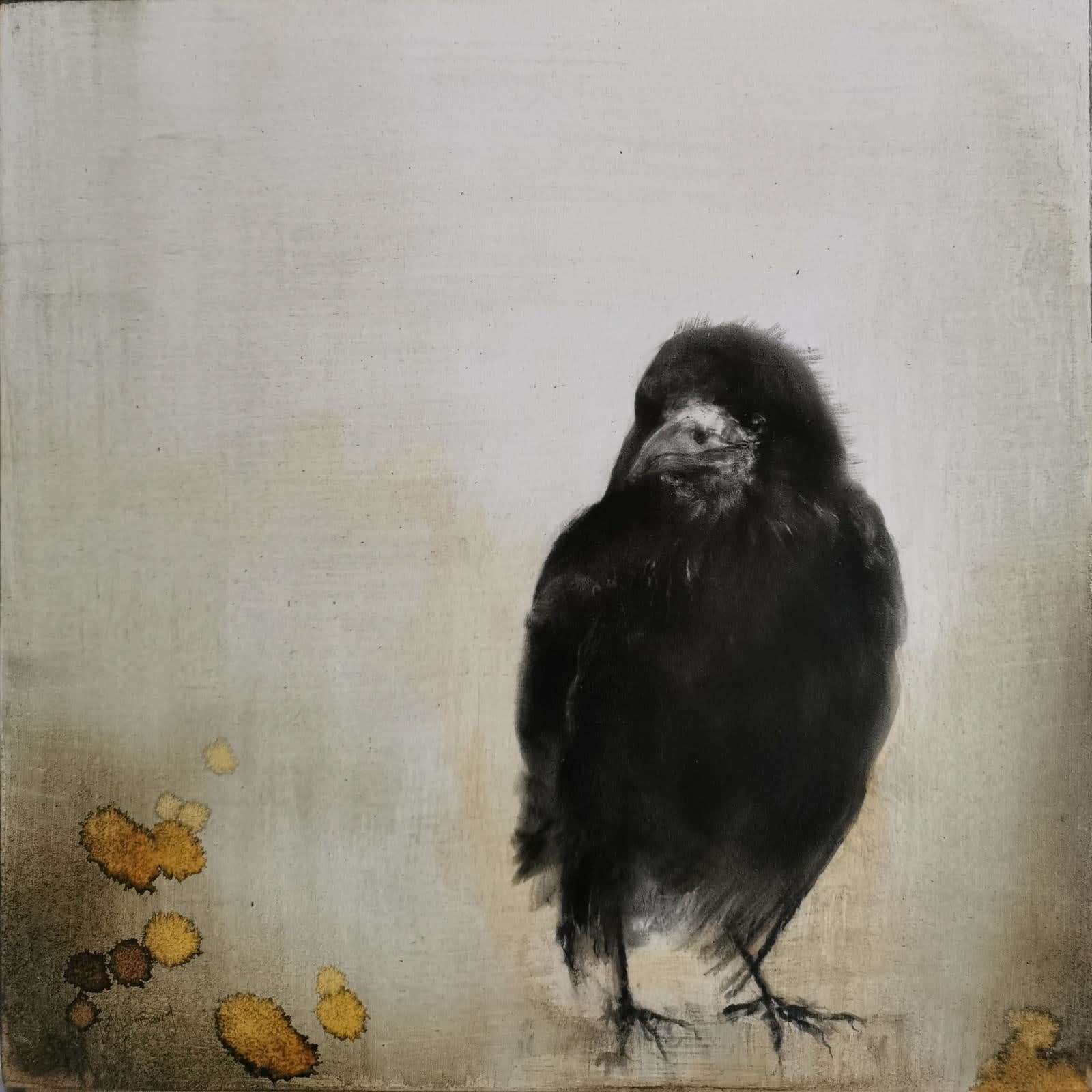 Alison Barry, What am I afraid of!