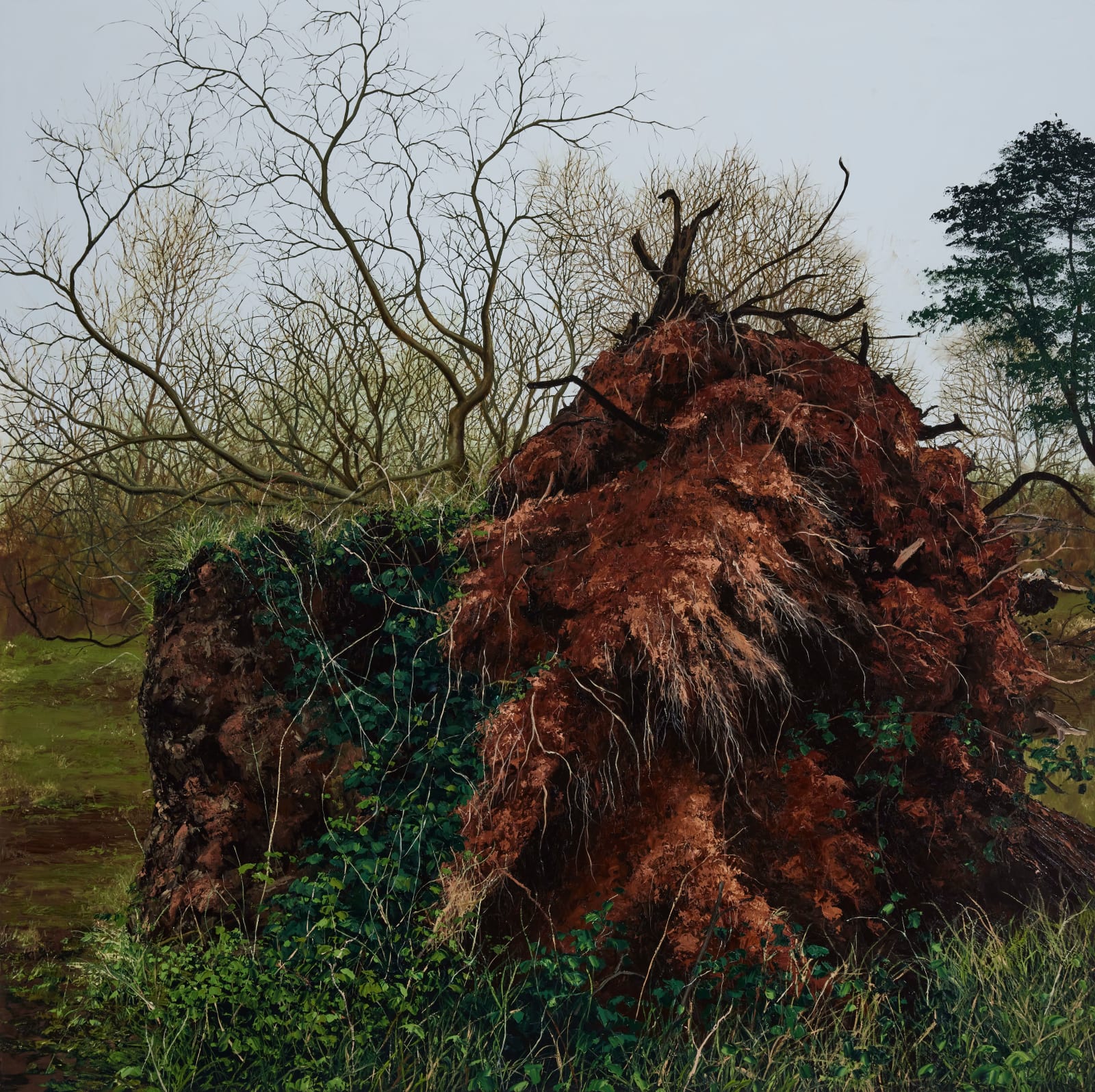 Stephanie Noble, Dead End