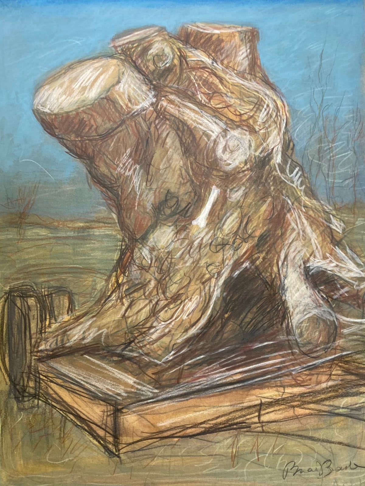 Brian Bourke HRHA, Bone Encased In Uprooted Tree
