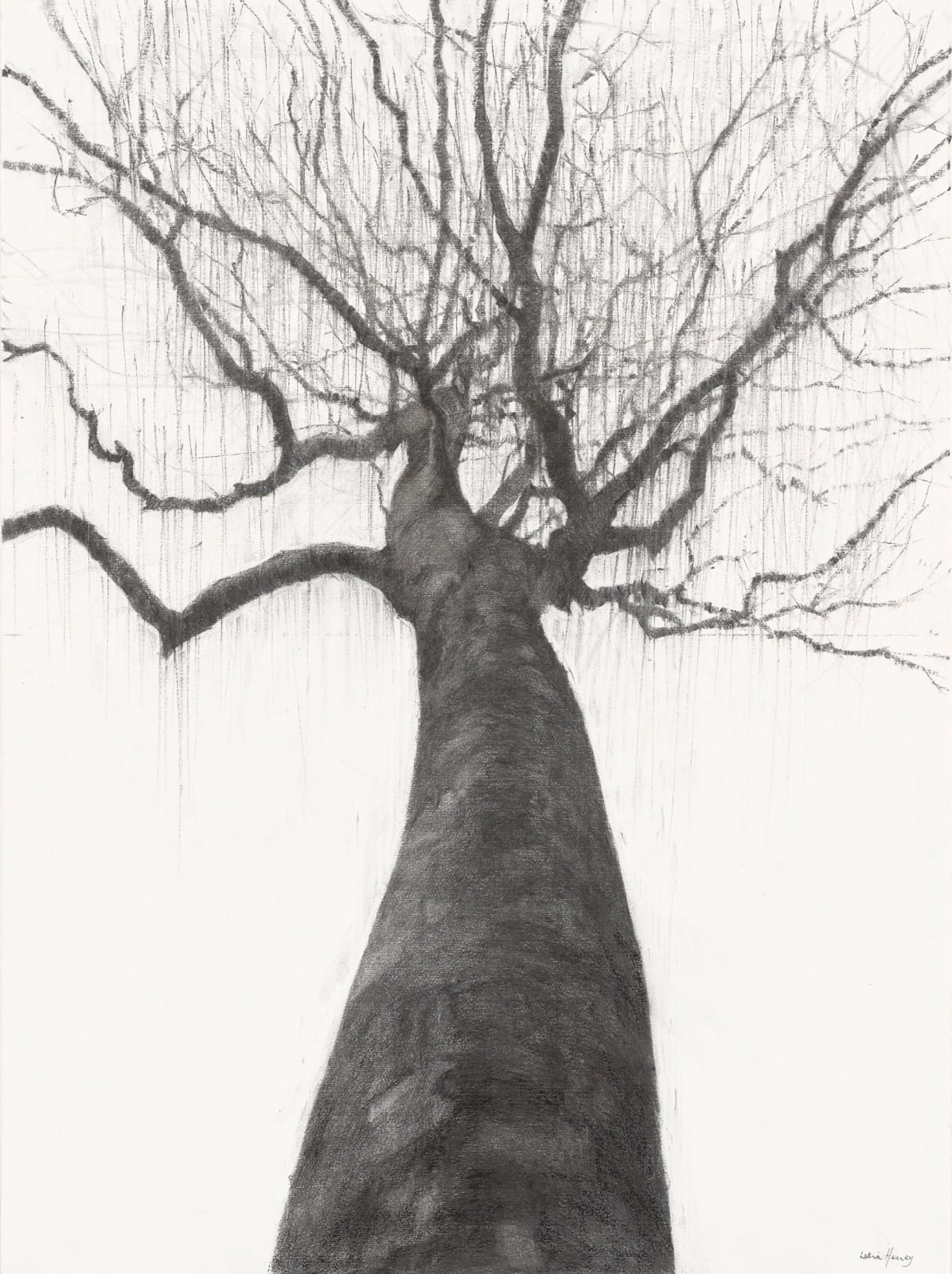 Lelia Henry, Clíodhna, 2024