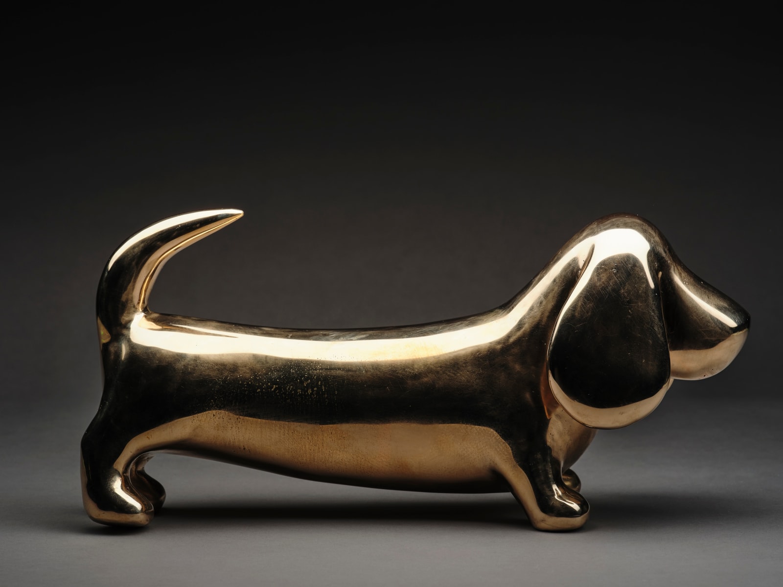 Tom Campbell, Dog