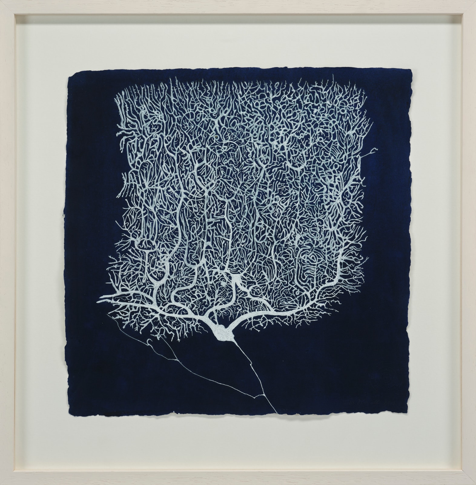 Eilís O'Connell RHA, Indigo Purkinje 2018
