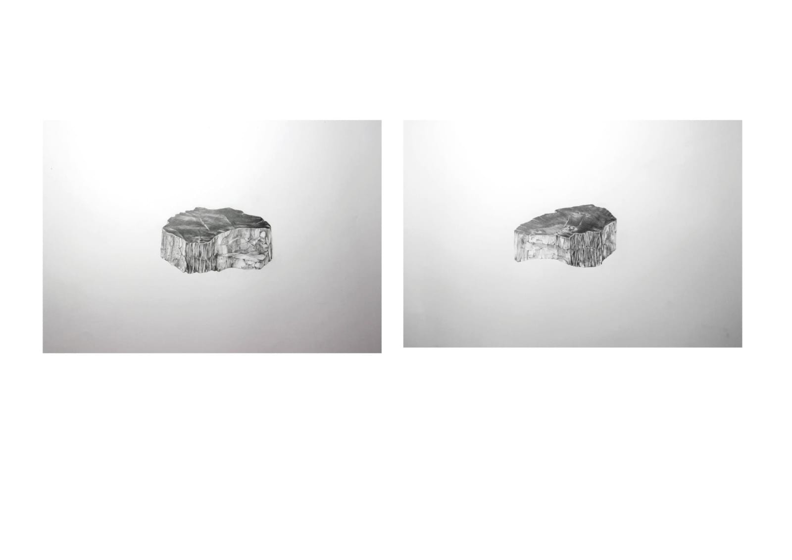 Patricia Farrelly, Petrified Wood I, II