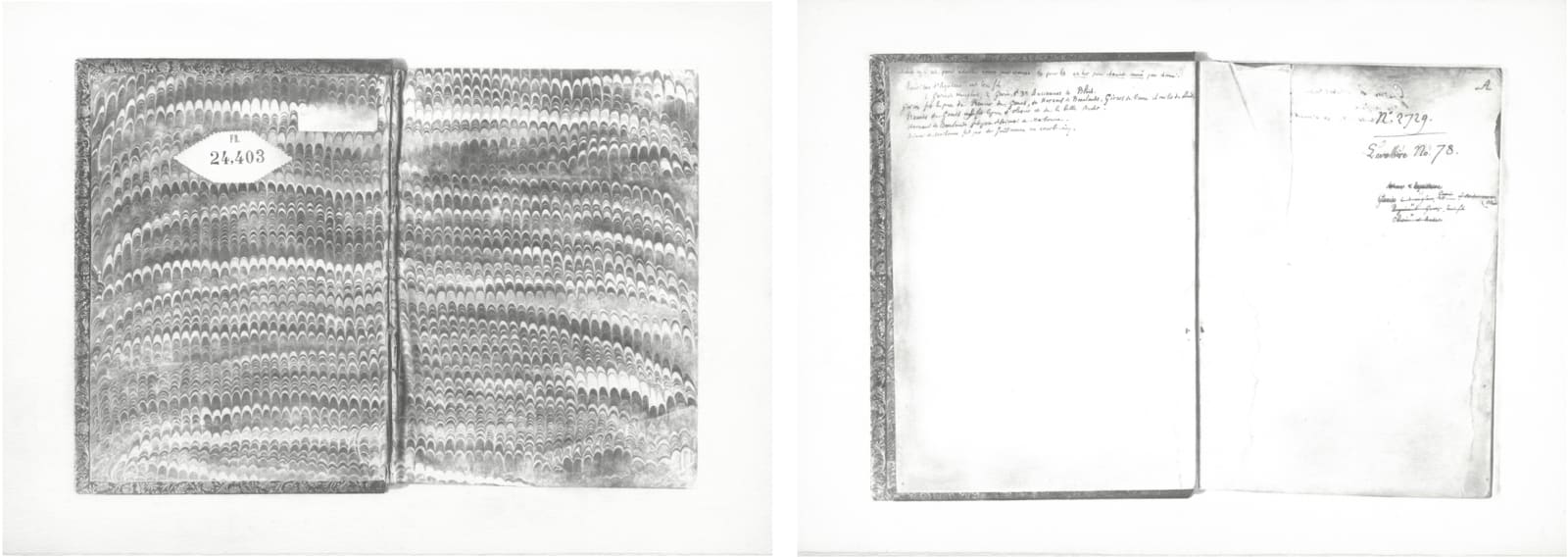 Claire Kerr, Digitised Book (Diptych)
