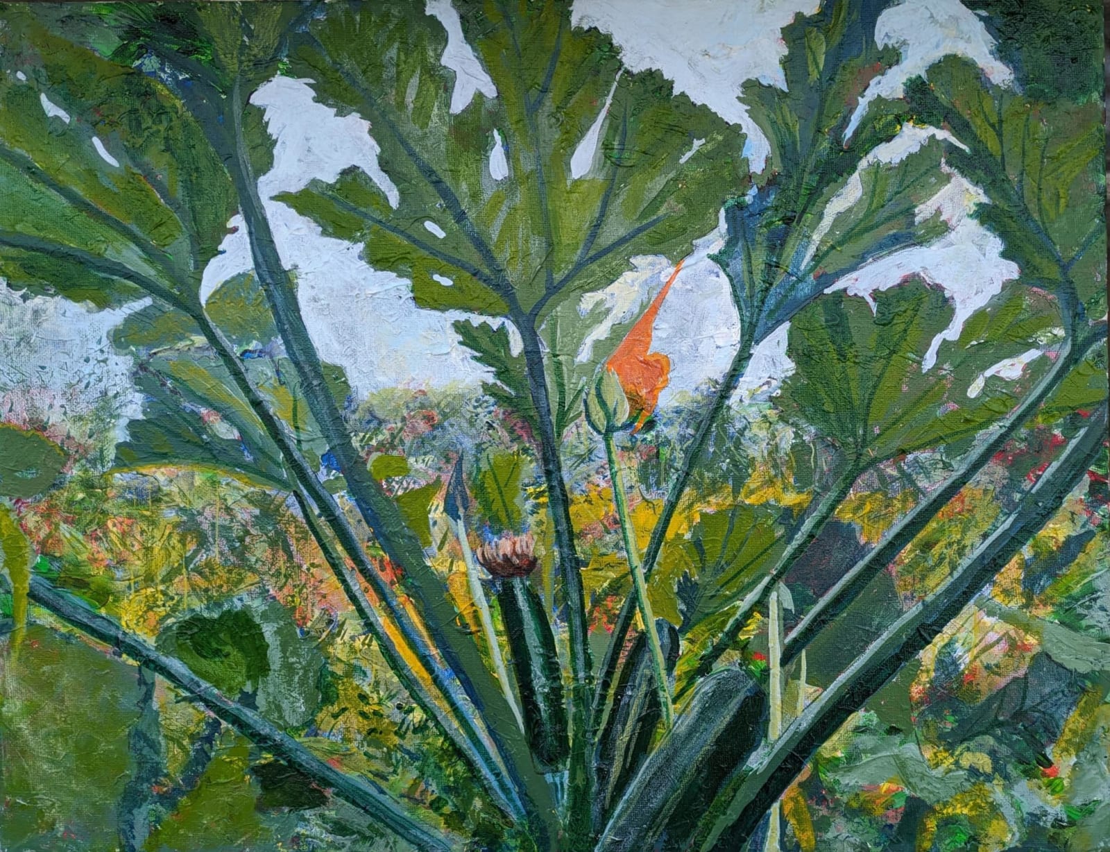 Andrew Manson, My Courgettes