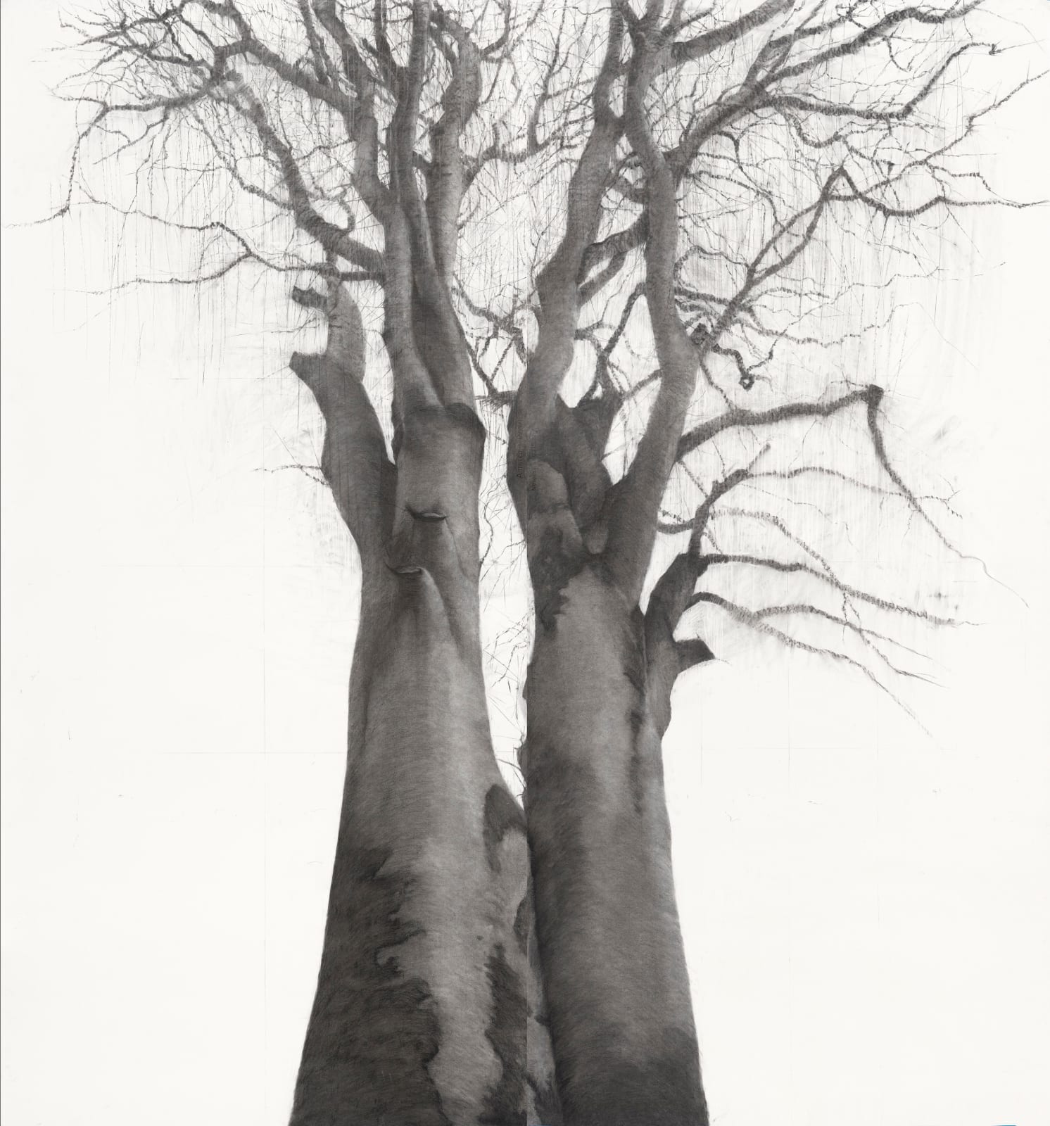 Lelia Henry, Merrows, 2025