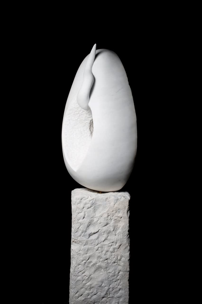 Helen O'Connell, Saolta