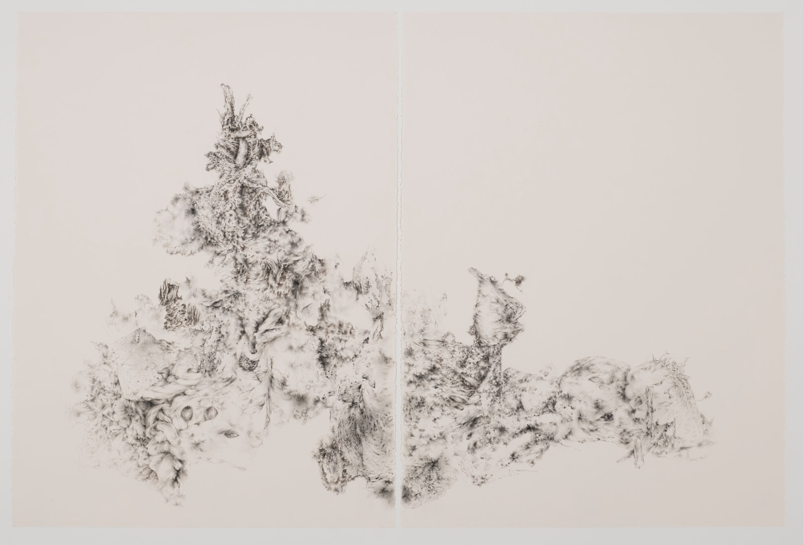 Ida Mitrani, Offerings From The Sea