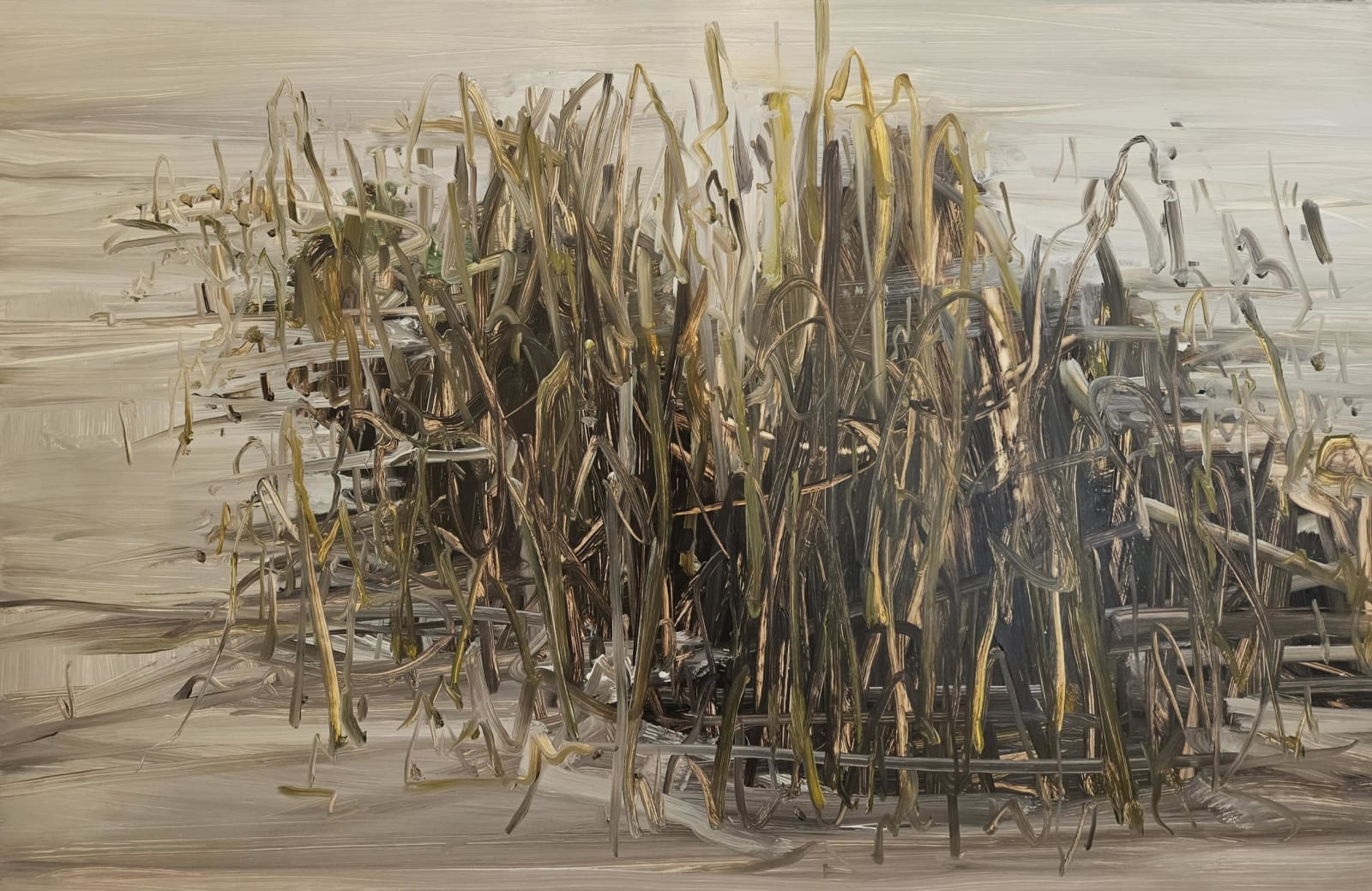 Kaye Maahs, Wetlands 1