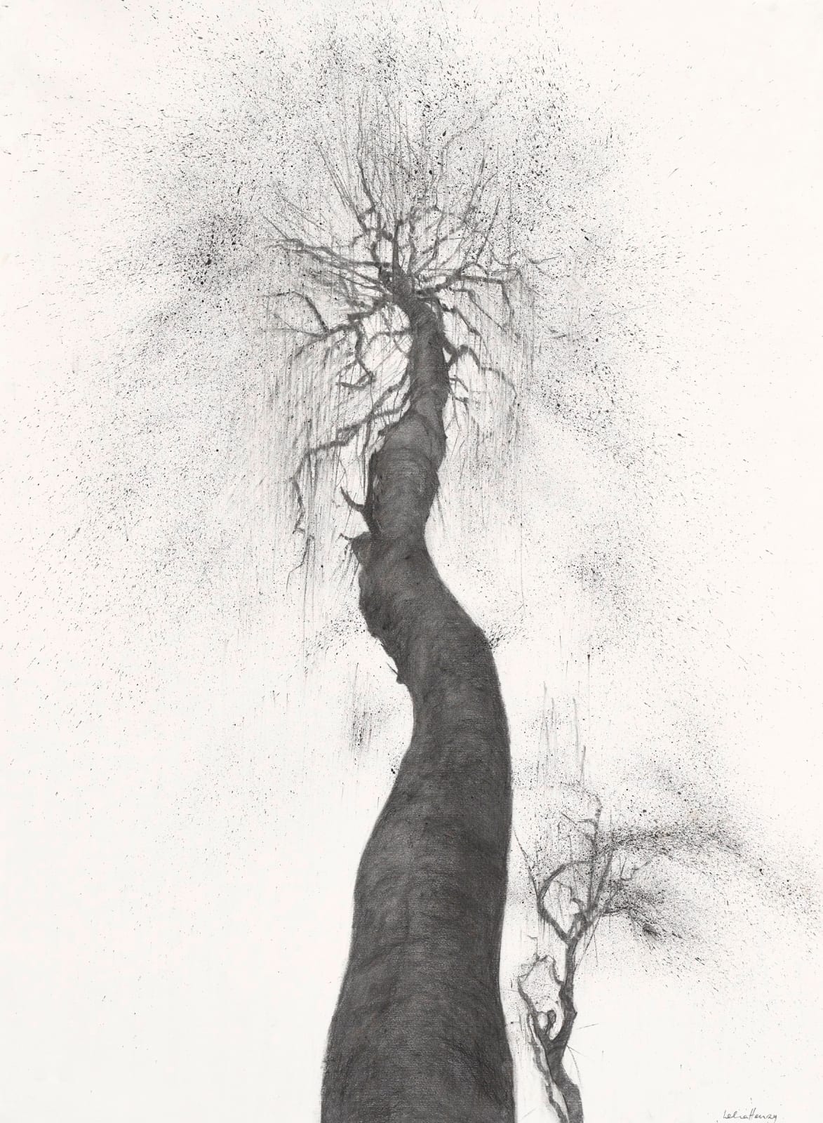 Lelia Henry, Bébinn, 2024