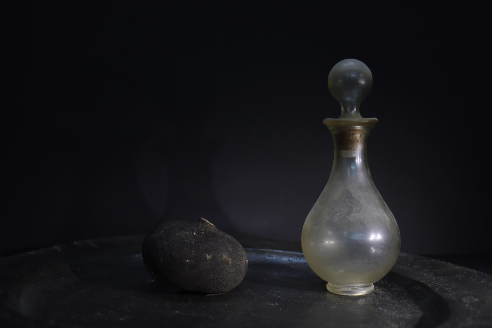 Sharon Belton, Black Turnip